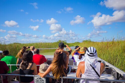 un gruppo di turisti in una palude