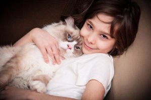 I gatti, un'ottima terapia per l'autismo