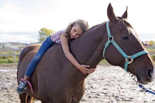Bambina con cavallo ippoterapia