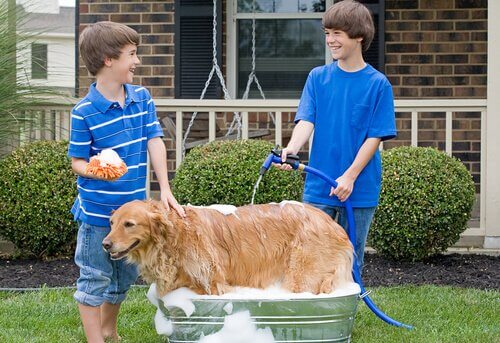 Consigli per lavare il cane con la pompa del giardino