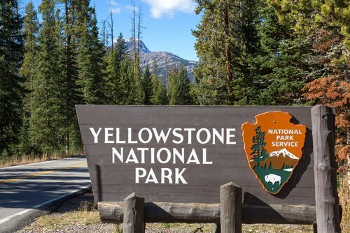 Parco nazionale di Yellowstone: il primo al mondo