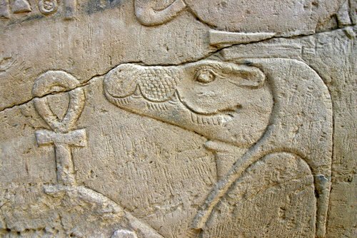 5 animali sacri dell’Antico Egitto