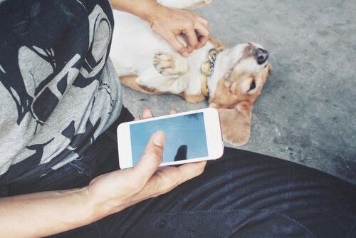 Padrone coccola cane con uno smartphone nella mano
