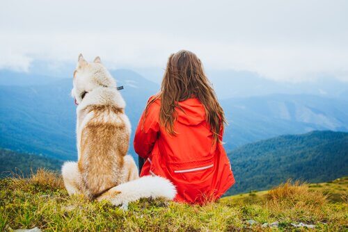 Ragazza e cane su una montagna guardano il panorama