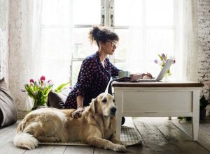 Siete pronti per adottare un animale domestico?