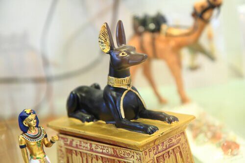 Cane egizio su un sarcofago