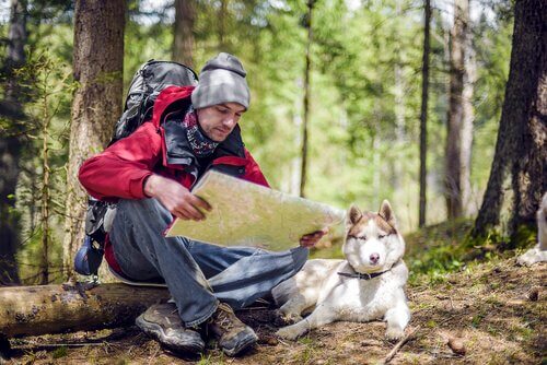 Escursionismo con il cane: consigli e considerazioni