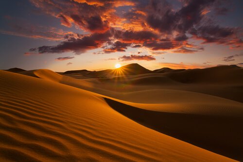 Deserto del Sahara: il più grande del pianeta