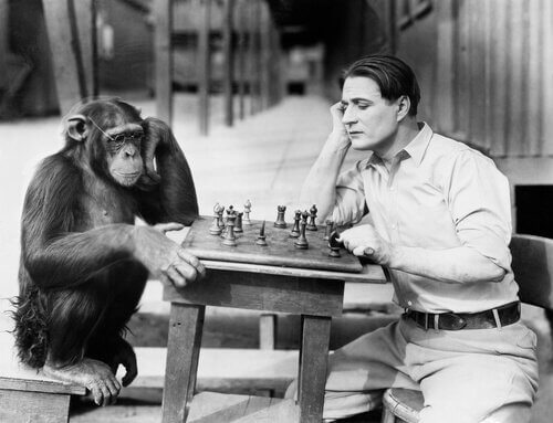 Uomo gioca a scacchi con una scimmia
