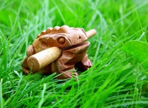 5 animali che portano fortuna