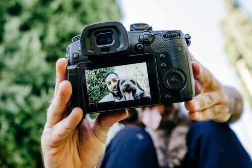4 consigli per scattare foto perfette al cane