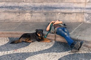 5 bellissimi itinerari per viaggiare in Europa con il cane