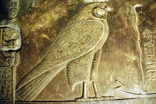 Falco uccello sacro nell'Antico Egitto