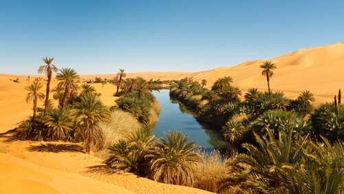 Oasi nel deserto del sahara