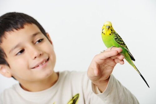 bambino con uccello sulla mano