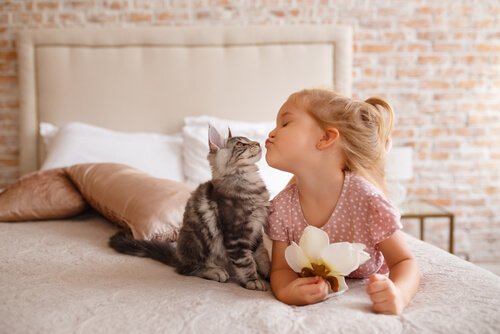 Bimba bacia gatto sul letto