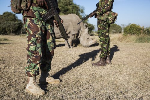 Militari con rinoceronte