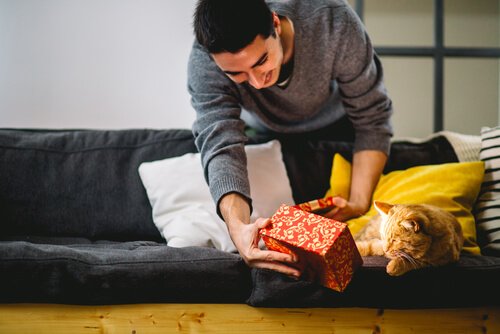 Padrone fa un regalo al suo micio