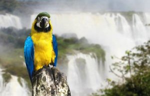 I parchi nazionali dell'Argentina