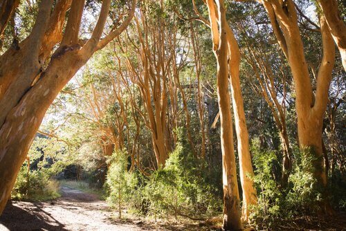 Parco nazionale in Patagonia