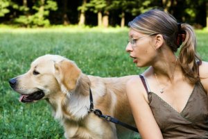 Consigli pratici per attirare l'attenzione del cane