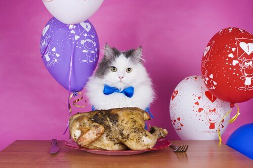 un gatto con davanti un pollo al forno
