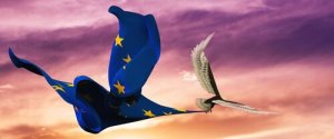 Uccelli nazionali europei: i migliori 5