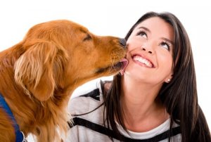 8 segnali che indicano che il vostro cane vi ama