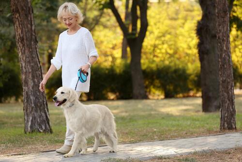 Anziana al parco con cane 