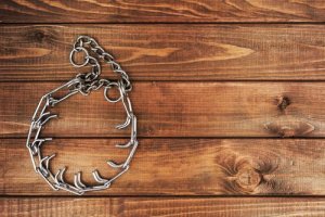 Ecco i collari per cani proibiti dalla legge