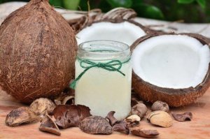 3 proprietà dell'olio di cocco per i cani