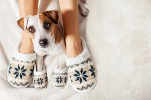 Come mantenere al caldo il cane durante l'inverno