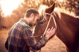 Come capire se il vostro cavallo vi vuole bene?