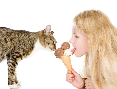 Bambina e gatto mangiano gelato
