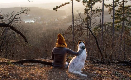 Donna con cane nel bosco