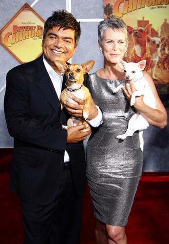 Film beverly hills chihuahua