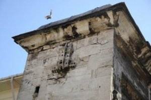 I palazzi per gli uccelli di Istanbul