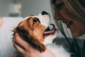 Parlare con il cane: ecco come farlo bene