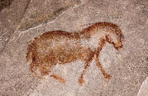 Pittura rupestre cavallo 