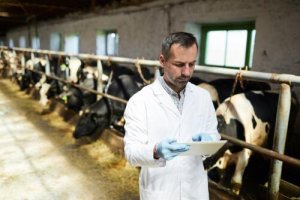 La resistenza agli antibiotici e l'allevamento