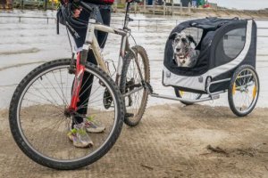 Rimorchio da bicicletta per portare a spasso il cane