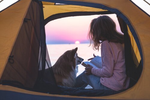 ragazza in campeggio con il cane