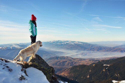 Arrampicata con il cane tra sport pericolosi