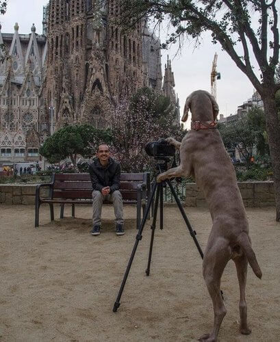 Cane sagrada familia