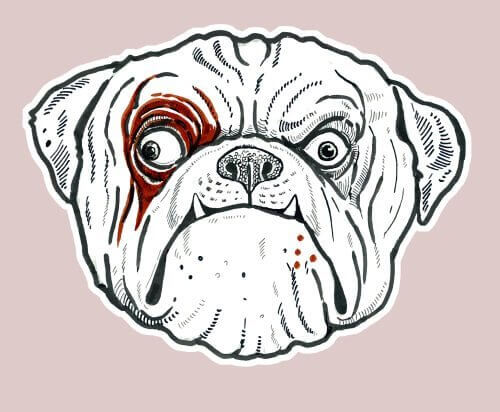 Caricatura del cane di fronte