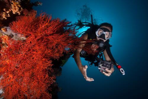 Donna che nuota nella barriera corallina 