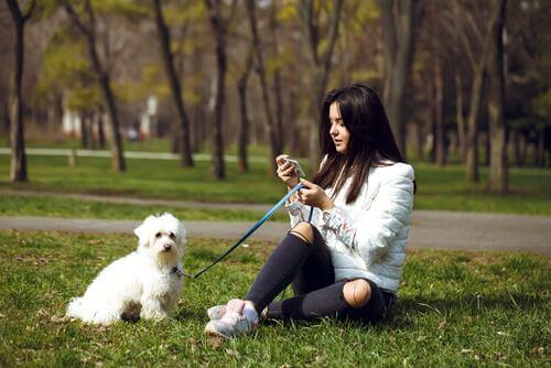 Padrona con cane piccolo al parco 