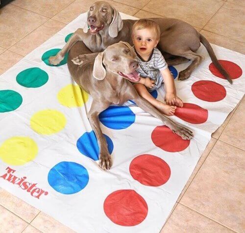 Profili Instagram cani