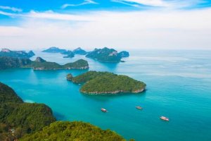 I ratti che stanno radendo al suolo le Isole Chagos