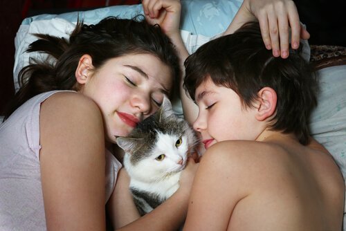 Bambini dormono con gatto